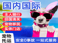 保山云瑞机场空运国际宠物托运 【国